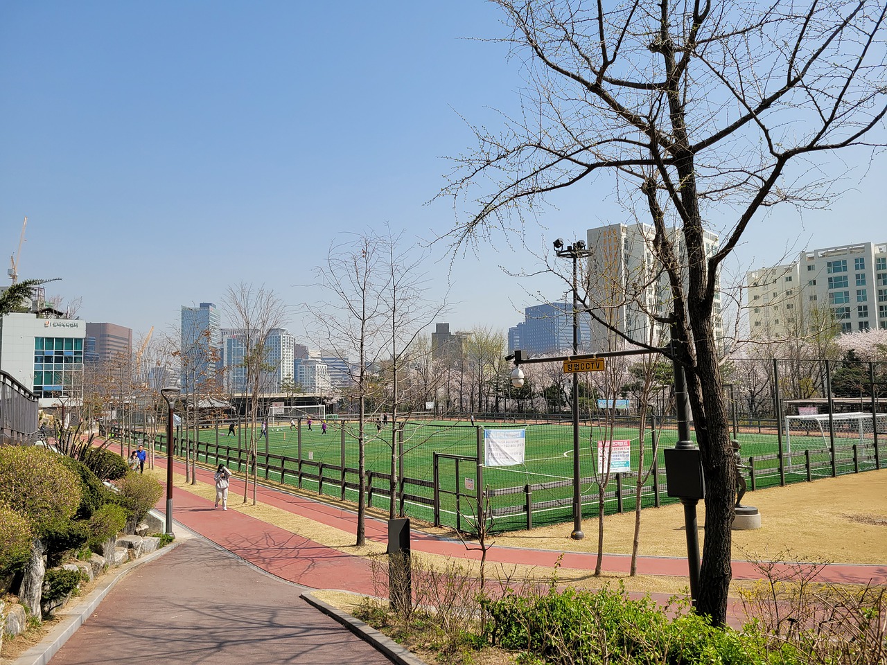 将使这次庆